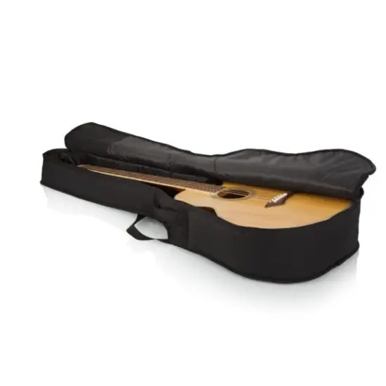 Gator GBE AC BASS