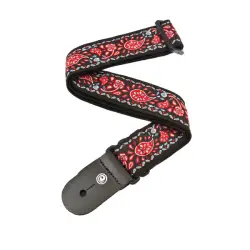 Planet Waves 50E08