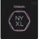 Daddario  NYXL09544
