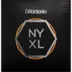 Daddario  NYXL1046BT
