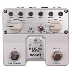 Mooer Reecho Pro Digital Delay