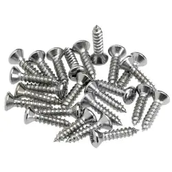 Fender Control Plate Mounting Screws