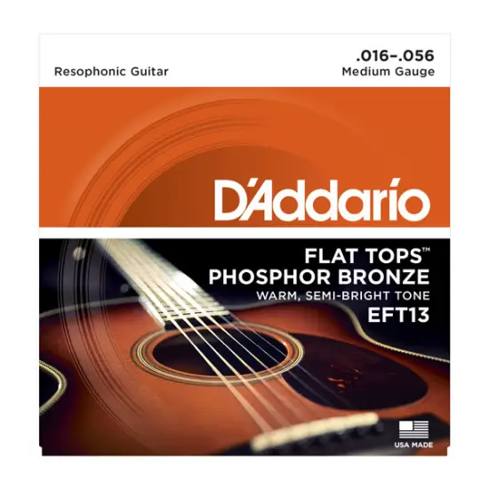 Daddario EFT13 16 56