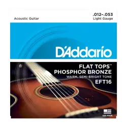 Daddario EFT16