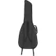 Fender FAC 610
