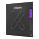 Daddario XTE1149 11 49