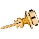 Fender Infinity Gold