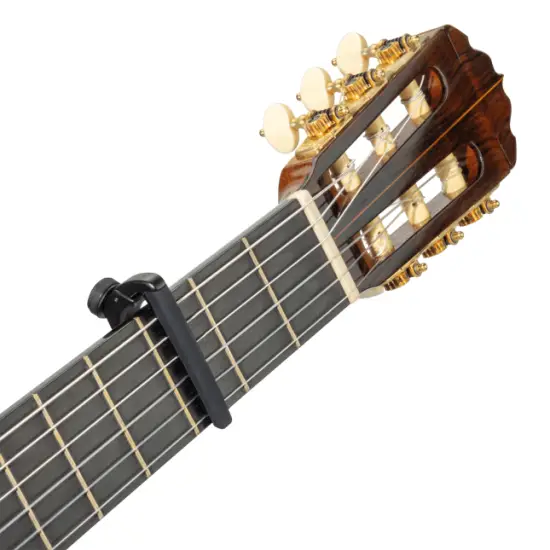 Daddario PW CP 19