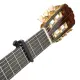 Daddario PW CP 19