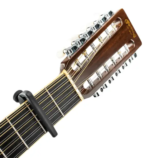 Daddario PW CP 19