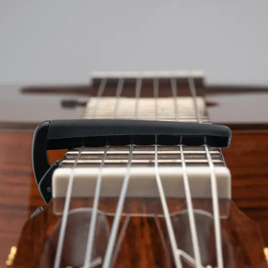 Daddario PW CP 19
