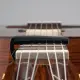 Daddario PW CP 19