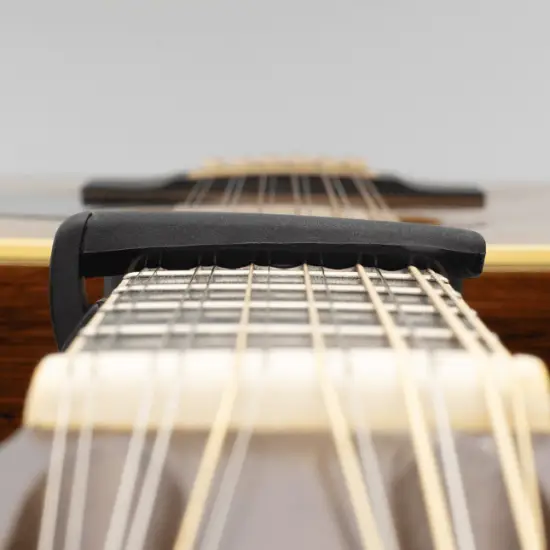 Daddario PW CP 19