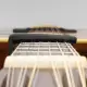 Daddario PW CP 19