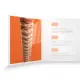 Daddario XSAPB1047 PB Extra Light 10 47