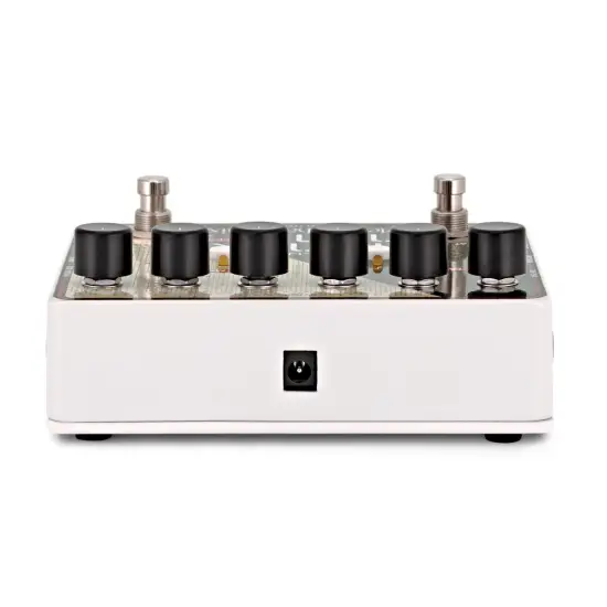 Electro Harmonix Deluxe Memory Man 550 TT