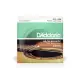 Daddario EZ920 85/15 Bronze Medium Light 12 54