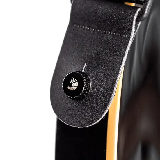 Daddario Universal Gold PW SLS 03