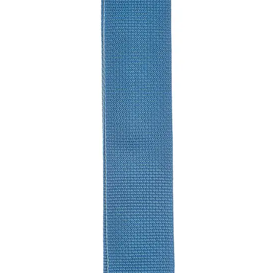 Planet Waves PWS102 Blue