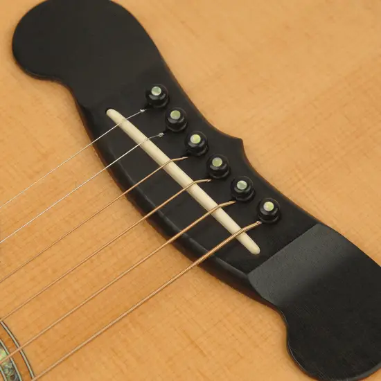 Daddario Ebony w/ End Pin Abalone Inlay PWPS2