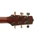 Daddario PWAT 333L Gold