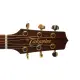 Daddario PWAT 333L Gold