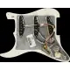 Fender Pre Wired Strat Tex Mex SSS