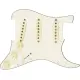 Fender Pre Wired Strat Custom Shop Texas Special SSS
