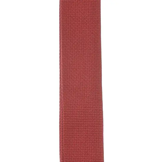Daddario PWS101 Polypro Red