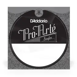 Daddario E   6th J4406