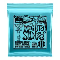 Ernie Ball Mighty Slinky 2228 (8.5   40)