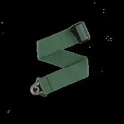 Daddario CORREIA GUITARRA PWSAL407 Auto Lock Green