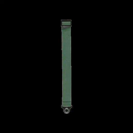 Daddario CORREIA GUITARRA PWSAL407 Auto Lock Green