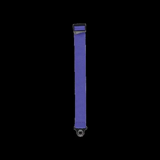 Daddario CORREIA GUITARRA PWSAL403 Auto Lock Purple