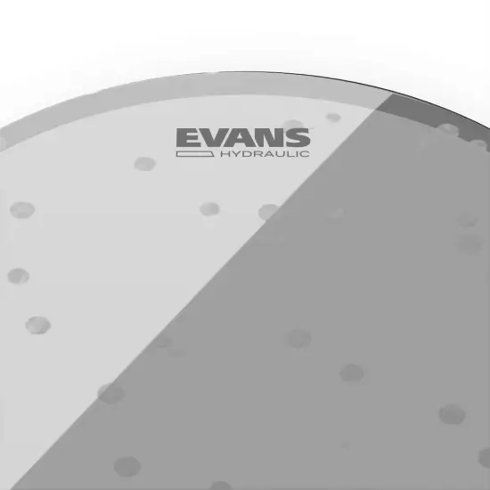 Evans 14