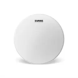 Evans 10