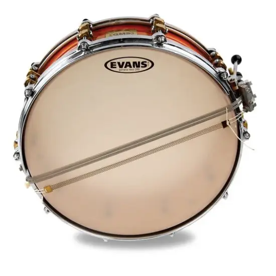 Evans 14