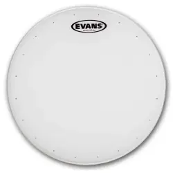 Evans 13