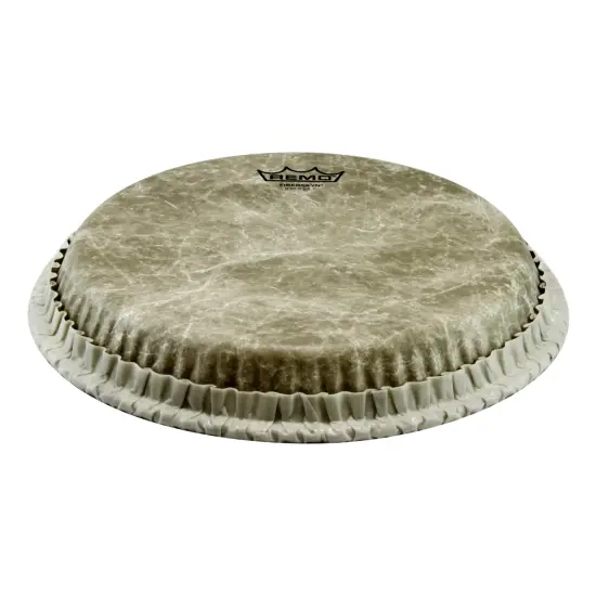 Remo 11
