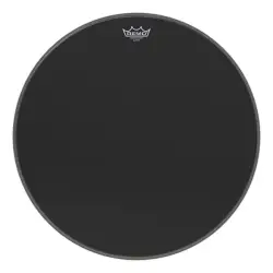 Remo 22