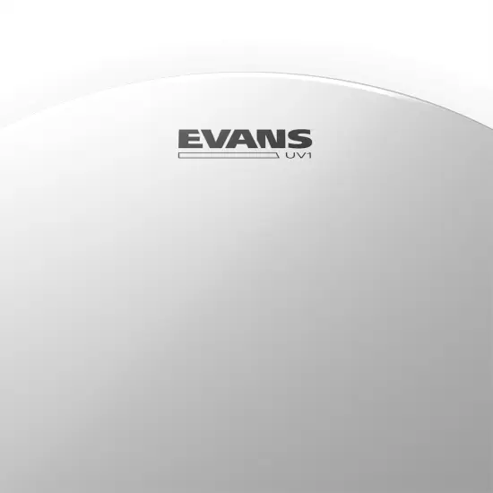 Evans 13