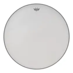 Remo 21