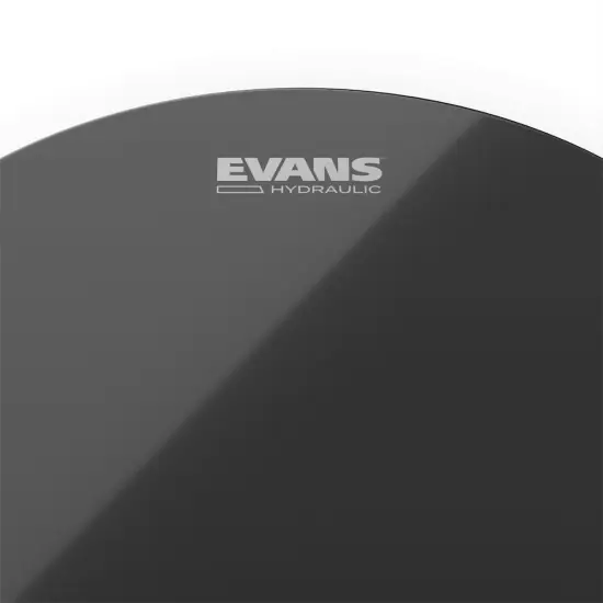 Evans 15