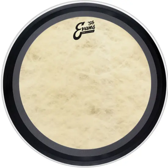 Evans 16