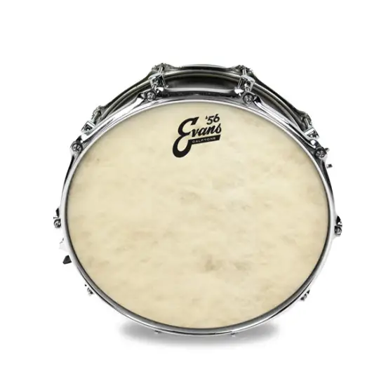 Evans 14