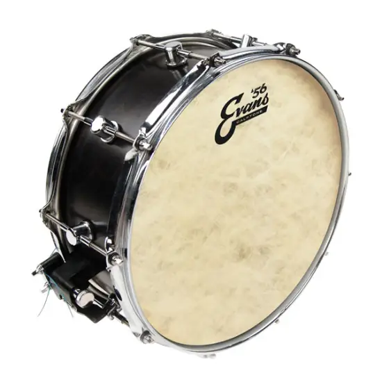 Evans 14