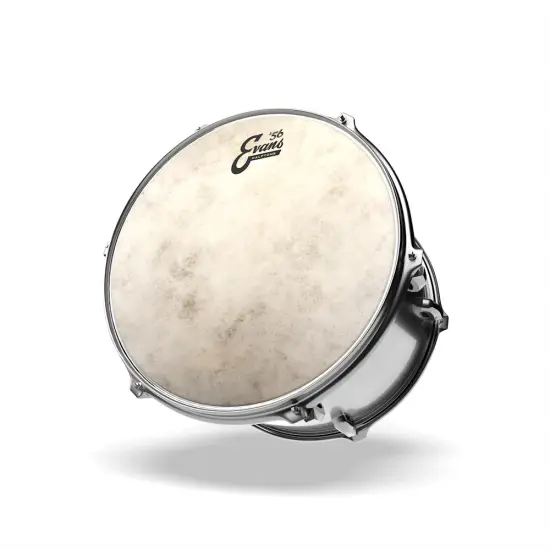 Evans 15