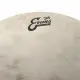 Evans 15