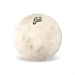 Evans 13