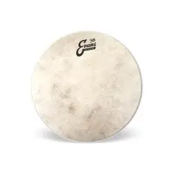 Evans 10